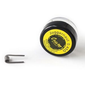 Fio CoilArt Juggernaut 0.45Ohm Coil (1Un)